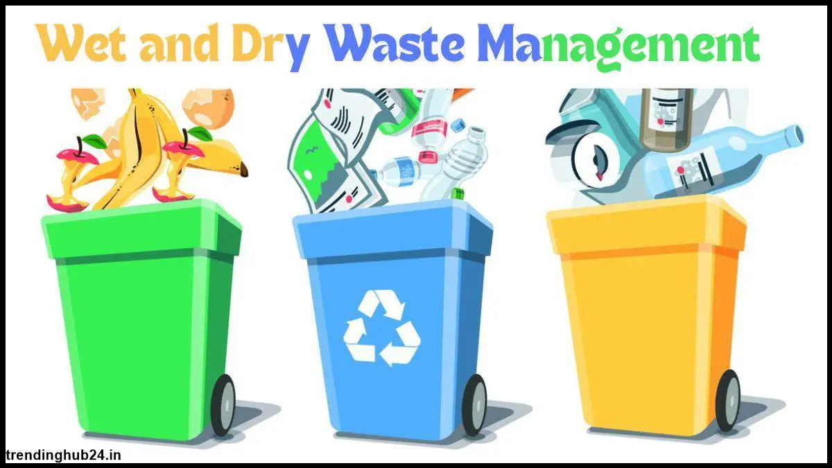 wet waste Various types of wet waste environmental benefits.jpg